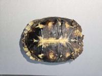 Bild 7/8