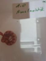Bild 21/22