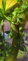 Bild 7/9