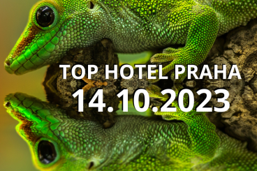 Exotic mammals kaufen und verkaufen Photo: ZIVA EXOTIKA ins Top Hotel Prag / Tschechische Republik 14.10. Exotic mammals kaufen und verkaufen Photo: ZIVA EXOTIKA ins Top Hotel Prag / Tschechische Republik 14.10.