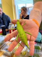 Bild 15/15