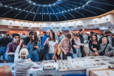 Exotische Säuger kaufen und verkaufen Foto: ZIVA EXOTIKA ins Top Hotel Prag / Tschechische Republik