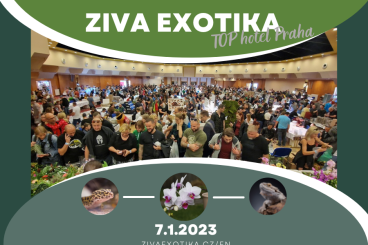 Sonstiges kaufen und verkaufen Foto: ZIVA EXOTIKA ins Top Hotel Prag / Tschechische Republik