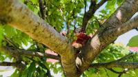 Bild 4/7