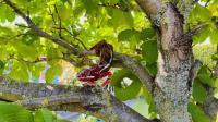 Bild 7/7