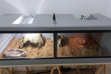 Terrarien kaufen und verkaufen Foto: Terrarium herptek grey 150*70*50cm Terrarien kaufen und verkaufen Foto: Terrarium herptek grey 150*70*50cm