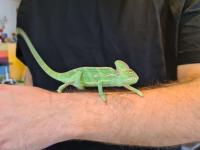 Bild 8/8