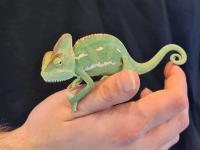 Bild 6/8