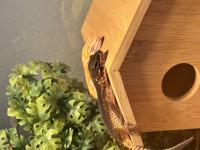 Bild 3/12