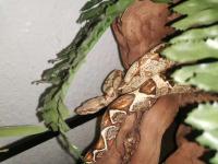 Bild 8/8