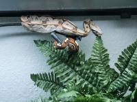 Bild 7/8