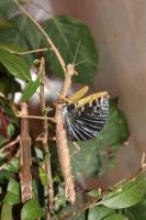Bild 7/9