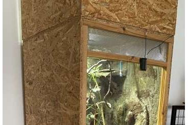 Enclosures kaufen und verkaufen Photo: Terrarium mit Unterschrank + Zubehör