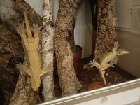 Bild 7/7