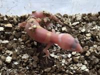 Bild 7/7