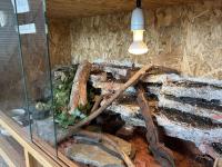 Bild 3/7