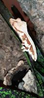 Bild 7/8