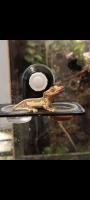 Bild 8/8