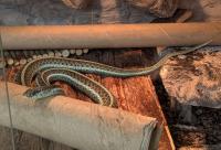 Bild 8/8