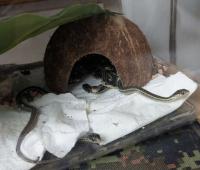 Bild 5/8