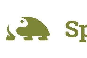 Turtles and Tortoises kaufen und verkaufen Photo: suche/search turtles/tortoise Turtles and Tortoises kaufen und verkaufen Photo: suche/search turtles/tortoise
