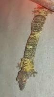 Bild 9/9