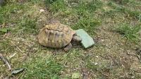Bild 3/10