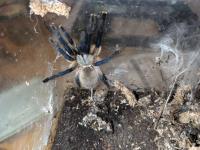 Bild 7/8