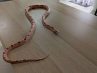 Bild 5/7