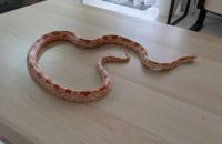 Bild 6/7