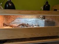 Bild 3/3
