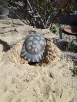 Bild 5/8
