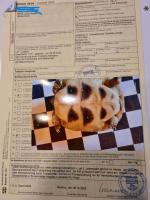 Bild 8/8