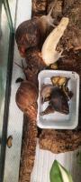Bild 6/7