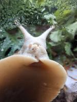 Bild 7/7