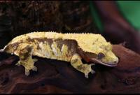 Bild 7/8