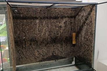 Terrarien kaufen und verkaufen Foto: Exo Terra Terrarium 90x45x90 Glasterrarium (alte Version) Terrarien kaufen und verkaufen Foto: Exo Terra Terrarium 90x45x90 Glasterrarium (alte Version)