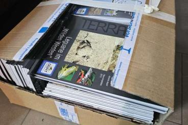Literatur kaufen und verkaufen Foto: Zeitschriften Terraria/Elaphe, Reptilia