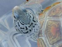 Bild 8/9