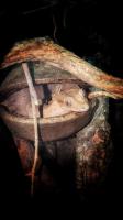 Bild 8/8