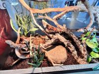 Bild 8/8