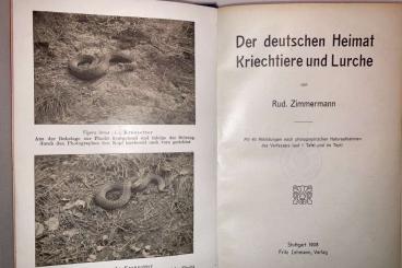 Literatur kaufen und verkaufen Foto: Zimmermann 1908 Lurche Kriechtiere Deutschlands