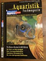 Bild 8/8