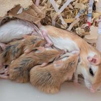 Bild 5/6