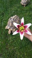 Bild 9/9