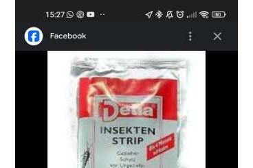 Sonstiges kaufen und verkaufen Foto: Suche Vapona Strip – 104gram oder insektenstrips Sonstiges kaufen und verkaufen Foto: Suche Vapona Strip – 104gram oder insektenstrips