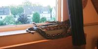 Bild 8/9