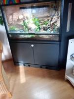 Bild 5/6