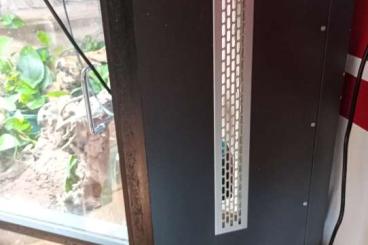 Königspythons kaufen und verkaufen Photo: Köpydame zum abgeben anbesten mit terrarium