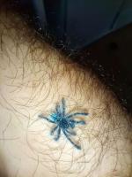 Bild 2/2